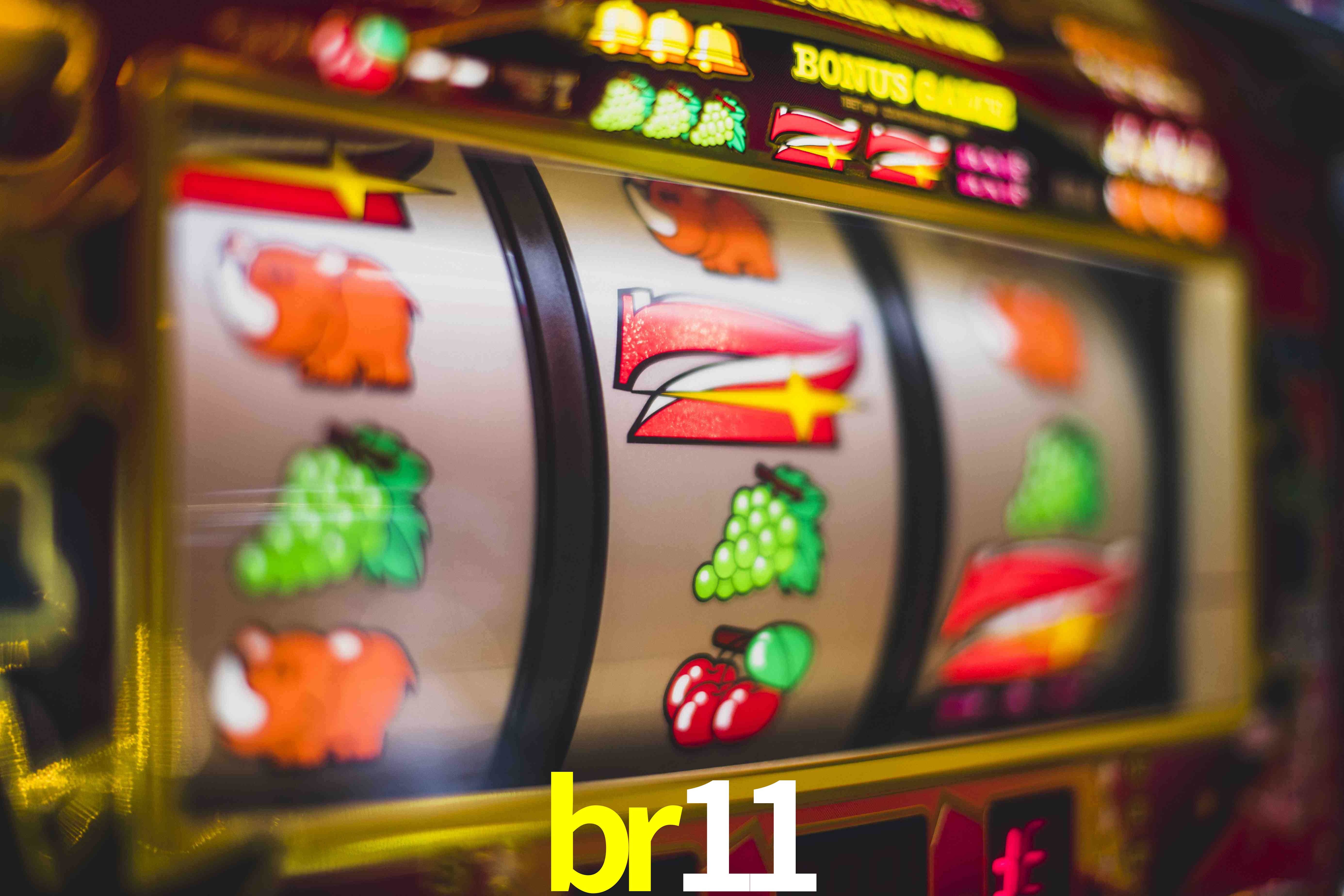 Live Casino br11